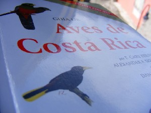 biblioteca 047 copy.jpg